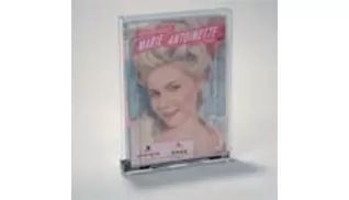 0501-0500 DVD T SAFER DLS