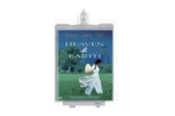 F5552 DVD 2 SAFER SLS