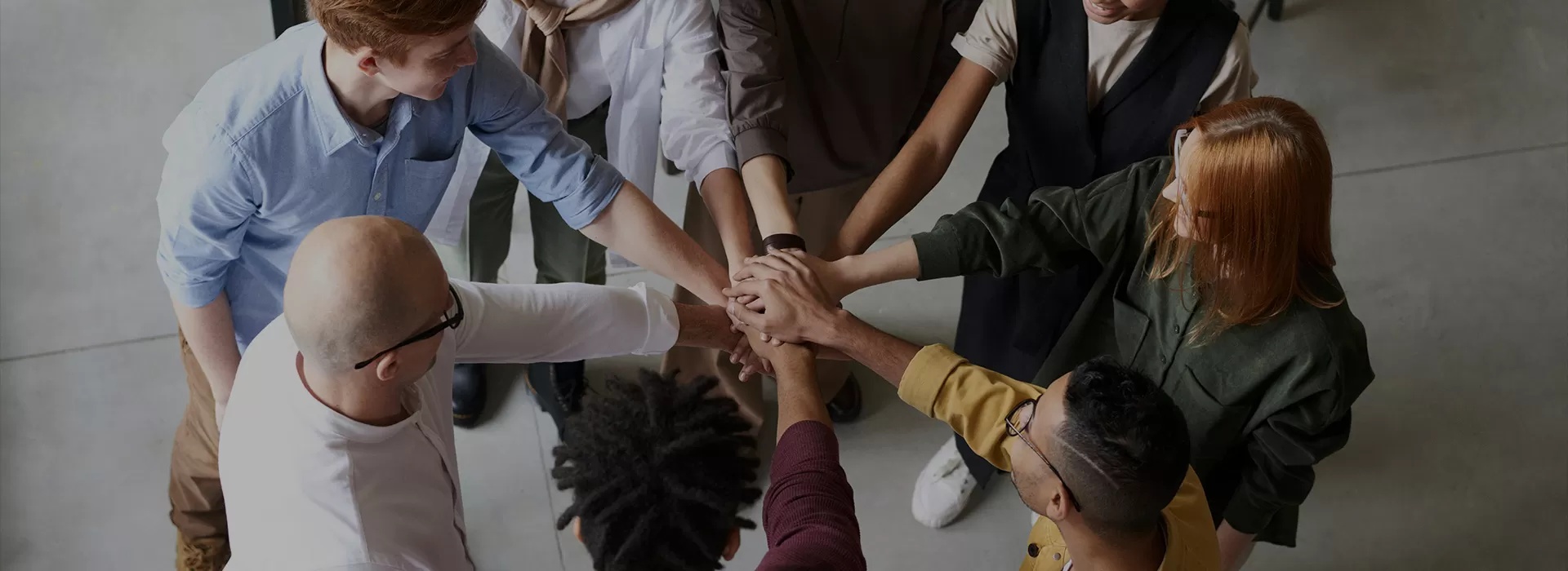 Etichette dei prezzi del bordo dello scaffale